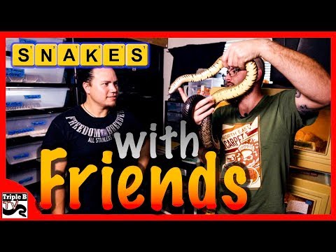 YouTube reptile video