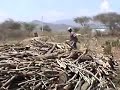 Haciendo Carbon