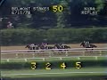 Affirmed vs. Alydar - 1978 Belmont Stakes (9th Meeting)
