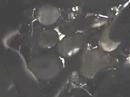 Darren Cesca of ARSIS Song 1 of set