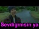 www.BurakDestan.com - BIRICIGIMSIN