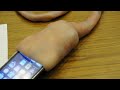 Squirming ‘umbilical’ phone cable