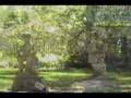 Myrtles Plantation - A video tour