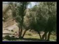 erzurum tekman g�m�?l�k k�y� sitesi h?n?s mustafa