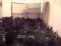 Toronto Grow-Op