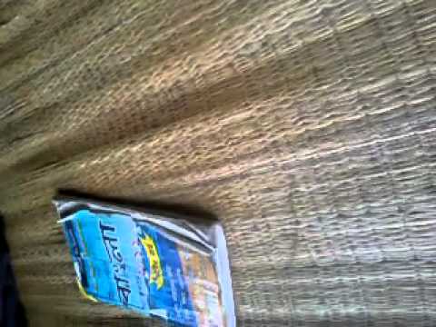 pundai - Video uploaded from my mobile phone.