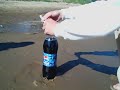 Cola & Mentos