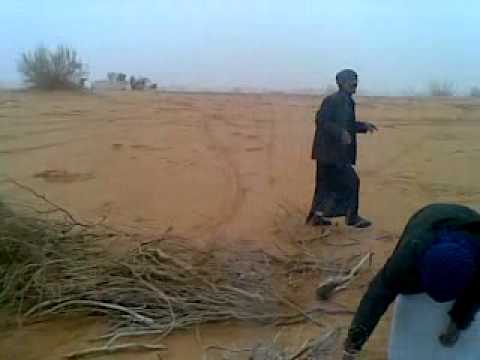 خصى