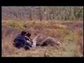 The Tsaatan, the Reindeer Riders (clip)