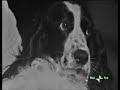 Rino Gaetano - E Berta Filava Rino Gaetano - E Berta Filava