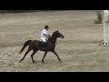 imperial 120 des