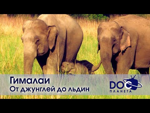 Гималаи - Фильм 2
