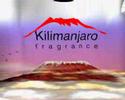 Kilimanjaro perfumes by Creationsdshi Kilimanjaro perfumes by Creationsdshi