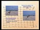 Fundamentos de Voleibol - Profesor José A. Pérez Turpín