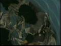 Boyero de Flandes video