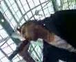 Lexington-Bridge-Aut