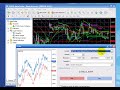 Trend Trader (Step 9 of 11) Trend Trader (Step 9 of 11)