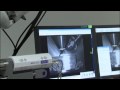 Zukunftsdialog: Was haben intermetallische Titan-Aluminide mit Zukunft des Fliegens zu tun?