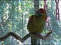 Sep 23 2008 - VID00030