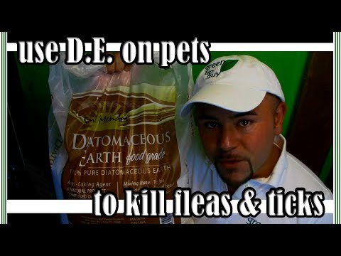 how to take diatomaceous earth