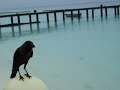 Breakfast On Komandoo