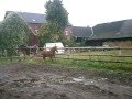 Quaterback  Colt Altmarkhof´s Quantensprung