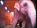 ADI Circus Commercial ADI Circus Commercial