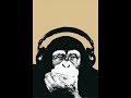 Buju Banton - Champion(Dubstep remix by Munkey)