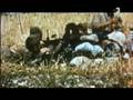 6-8 Roig i Negre [TVC, 2006]