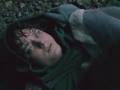 World On Fire- Arwen/Aragorn Music Video