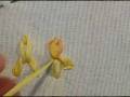 videos de Iris Stitch
