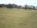 Richmond park - London Richmond park - London
