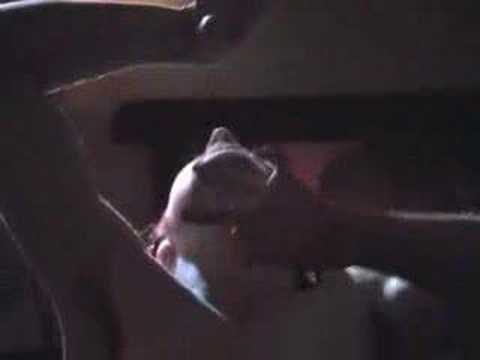 see video