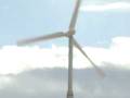 videos de Windmilllllllllllllllllllllllllllllllllllllllllllllllllllllllllll~