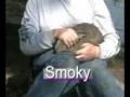Titania, Smokey, and Slate - Adopt these Bunnies!