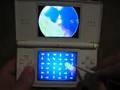 Electroplankton: Luminaria