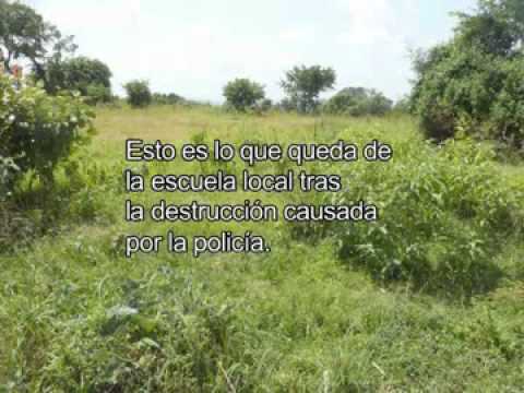 See video