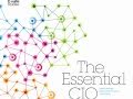 2011 IBM CIO Study