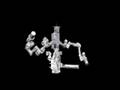 STS-123 Dextre