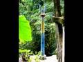 SIERRA-GORDA-Edward-
