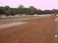 Pedro 3.AVI