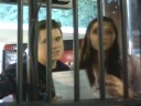 Jail4Bail Message