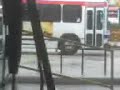 septa