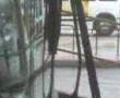 septa