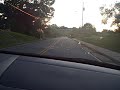 Car vs. Badger