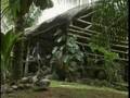 videos de Seychelles Travel Doc Part 07