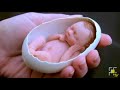Hacer bebés de porcelana en la parte de atrás de tu...