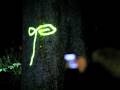 videos de Diddle on the tree and ground