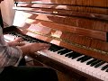 H�kan Hellstr�m - Br�nn� Serenad (Cover)