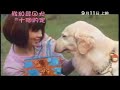 10 Promises To My Dog